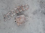 20200415_180731.jpg