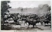 1918._In_der_deutschen_Kolonie_Alexanderfeld.jpg