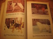 Служебное собаководство