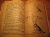 Служебное собаководство