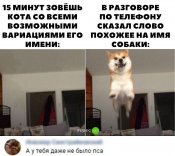 изображение_viber_2021-01-25_12-06-15.jpg