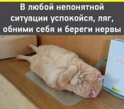 изображение_viber_2021-01-25_12-51-41.jpg
