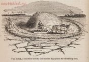 The_Norek,_a_machine_used_by_the_modern_Egyptians_for_threshing_corn._(1847)_-_TIMEA.jpg