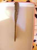 DSCF2172.JPG