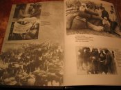 Голодомор 1932-33гг в документах и материалах том 2