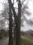 IMG_20210127_160042_990.jpg
