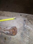 IMG_20210127_183722.jpg