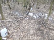 DSCN5968.JPG