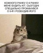 изображение_viber_2021-01-28_07-56-08.jpg
