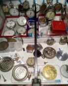 IMG_20210119_131852_480.JPG