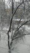 IMG_20210128_132415.jpg