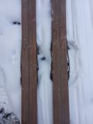 IMG_20210127_155540.jpg