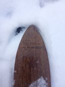 IMG_20210127_155559.jpg