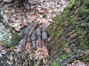 IMG_20210128_142531.jpg