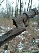 IMG_20210124_135530.jpg