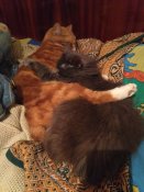 IMG_20210119_170722.jpg