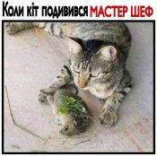 изображение_viber_2021-01-30_09-59-28.jpg