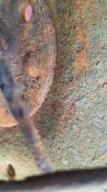 20210130_135957.jpg