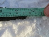 IMG_7572.JPG