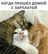 изображение_viber_2021-01-31_16-18-551.jpg