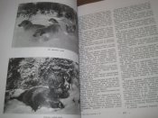 Настольная книга  Охотника спортсмена Том ІІ  (А4)