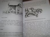 Большая энциклопедия охоты  (А4)