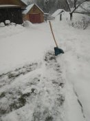 IMG_20210201_094738.jpg