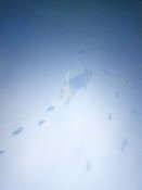 P10129-230837.jpg