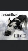 изображение_viber_2021-02-02_07-18-17.jpg