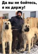 изображение_viber_2021-02-02_19-55-08.jpg