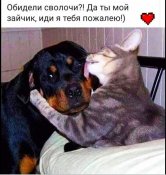 изображение_viber_2021-02-02_20-01-12.jpg