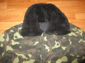 IMG_0535.JPG
