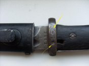 SL381600.JPG