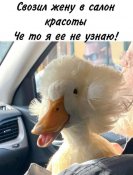 изображение_viber_2021-02-03_20-53-17.jpg