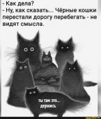 изображение_viber_2021-02-04_09-55-37.jpg