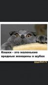 изображение_viber_2021-02-04_15-32-20.jpg