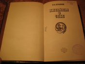 Китайцы о себе