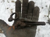 IMG_20210131_110616.jpg