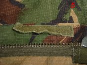 55.JPG