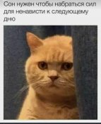 изображение_viber_2021-02-04_23-47-09.jpg