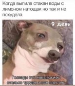 изображение_viber_2021-02-05_16-28-49.jpg