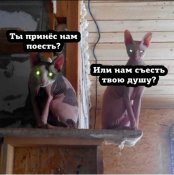 изображение_viber_2021-02-06_13-00-56.jpg