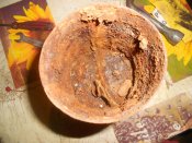 DSCN5184.JPG