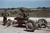 stock-photo-captured-soviet-37mm-antiaircraft-gun-61k-near-bohushivka-ukraine-1941-13435.jpg