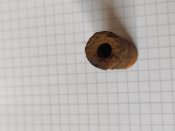 IMG_20210206_115348.jpg