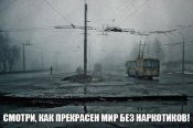 50ff993c6523b.jpg