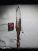 IMG_20210207_180649.jpg