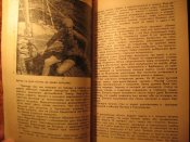 Одиночный рейс Опти