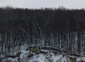 пш1.jpg