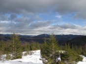 IMG_7191.JPG